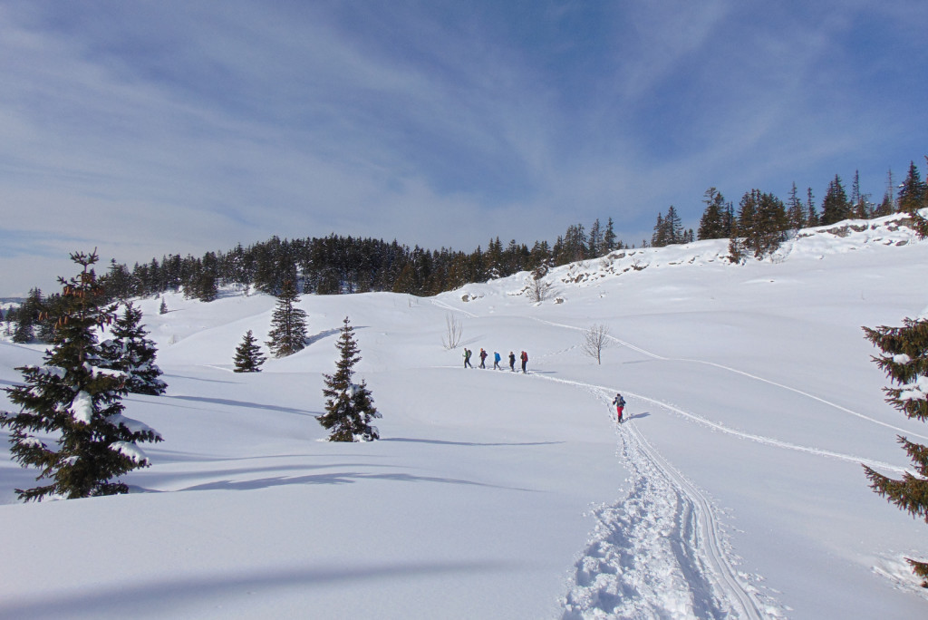 Rando raquettes sur le Plateau du Vercors